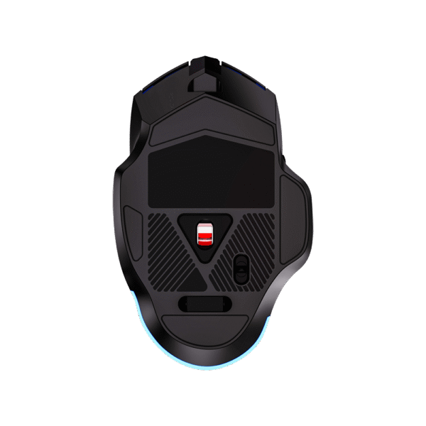 F812 61