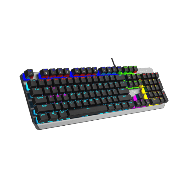 f2066 II 4